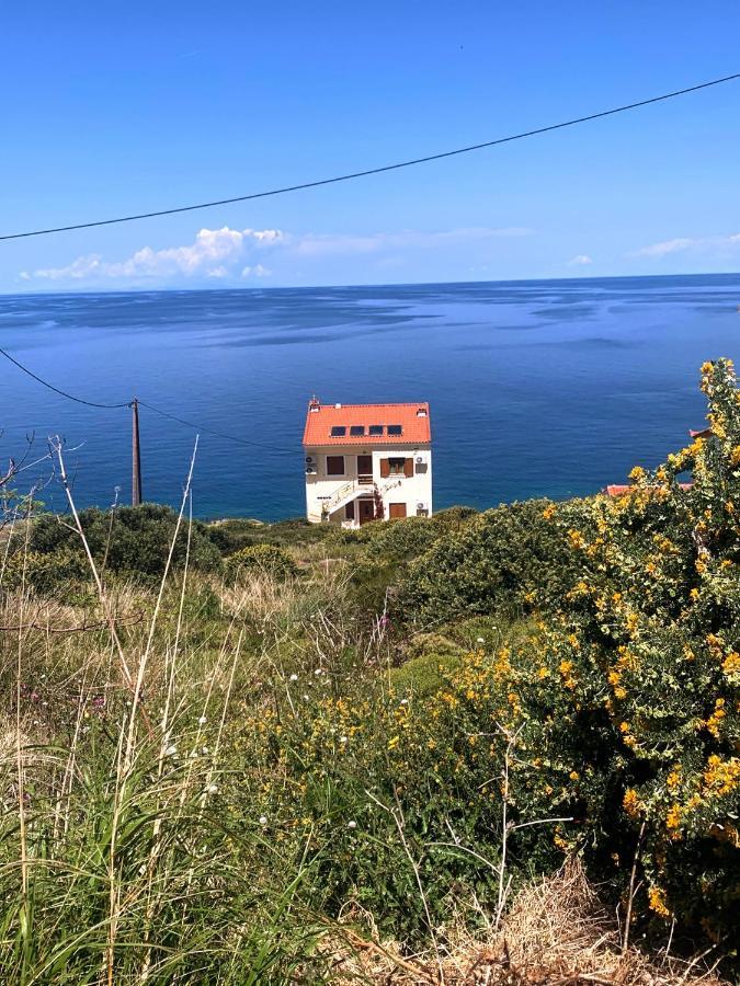 Κοχυλι 2 Με Υπεροχη Θεα Στο Αιγαιο Πελαγος! Lägenhet Armenistis  Exteriör bild